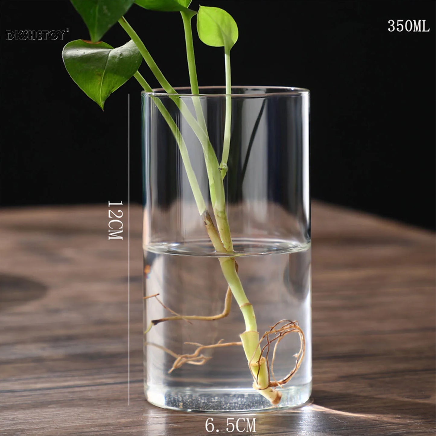 Glass Flower Vase desk decoration Modern Small Cylinder Flower Centerpiece Vases for Home Office Wedding Table