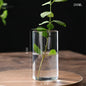 Glass Flower Vase desk decoration Modern Small Cylinder Flower Centerpiece Vases for Home Office Wedding Table
