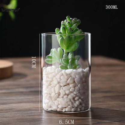 Glass Flower Vase desk decoration Modern Small Cylinder Flower Centerpiece Vases for Home Office Wedding Table