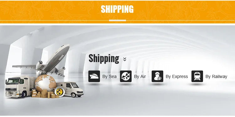 شكل عصري جديد لمجموعة عشاء من الخزف العظمي مزخرفة بالذهب من الطراز الألماني