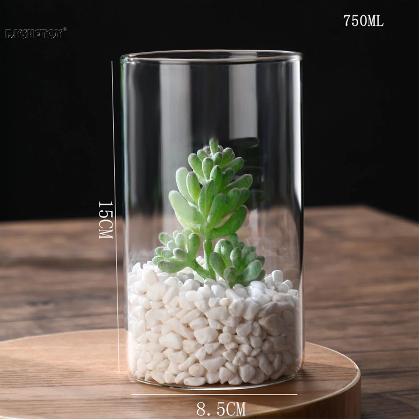 Glass Flower Vase desk decoration Modern Small Cylinder Flower Centerpiece Vases for Home Office Wedding Table