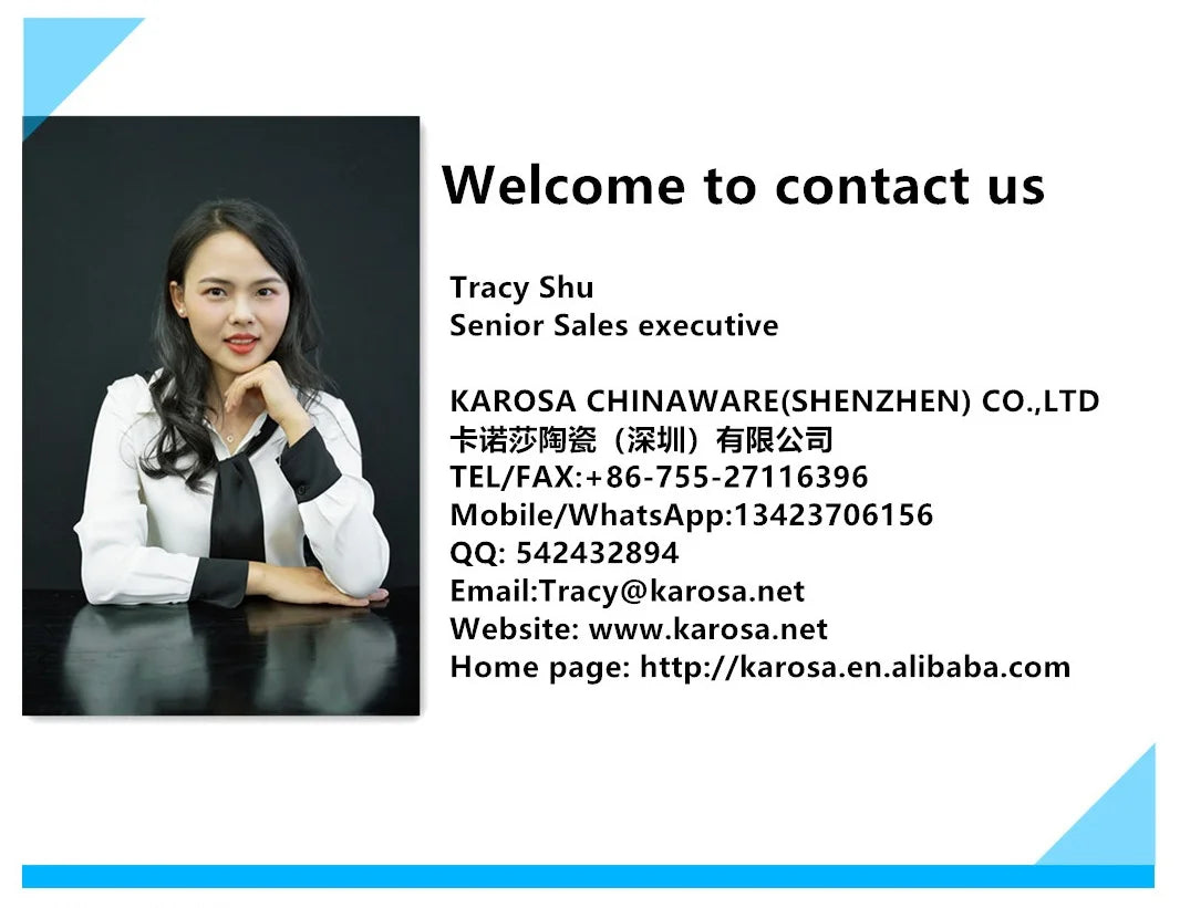 شكل عصري جديد لمجموعة عشاء من الخزف العظمي مزخرفة بالذهب من الطراز الألماني