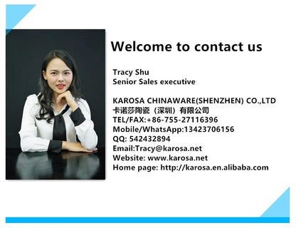 شكل عصري جديد لمجموعة عشاء من الخزف العظمي مزخرفة بالذهب من الطراز الألماني